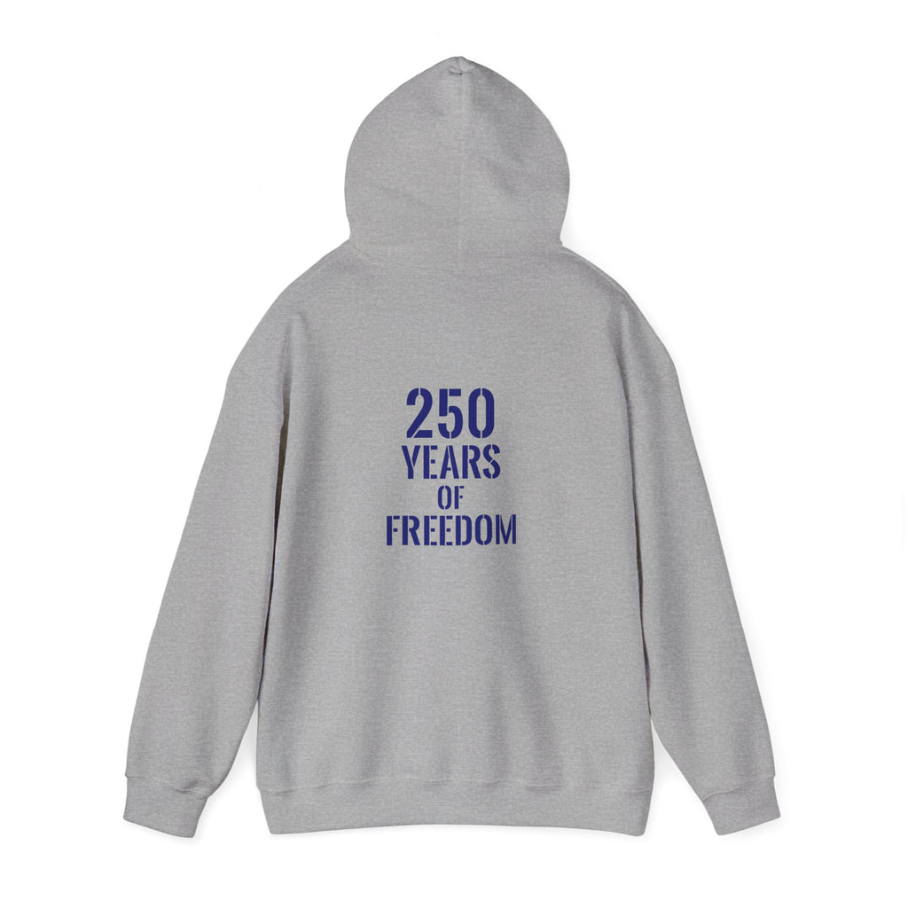 USA American 250 years of freedom hoodie.
