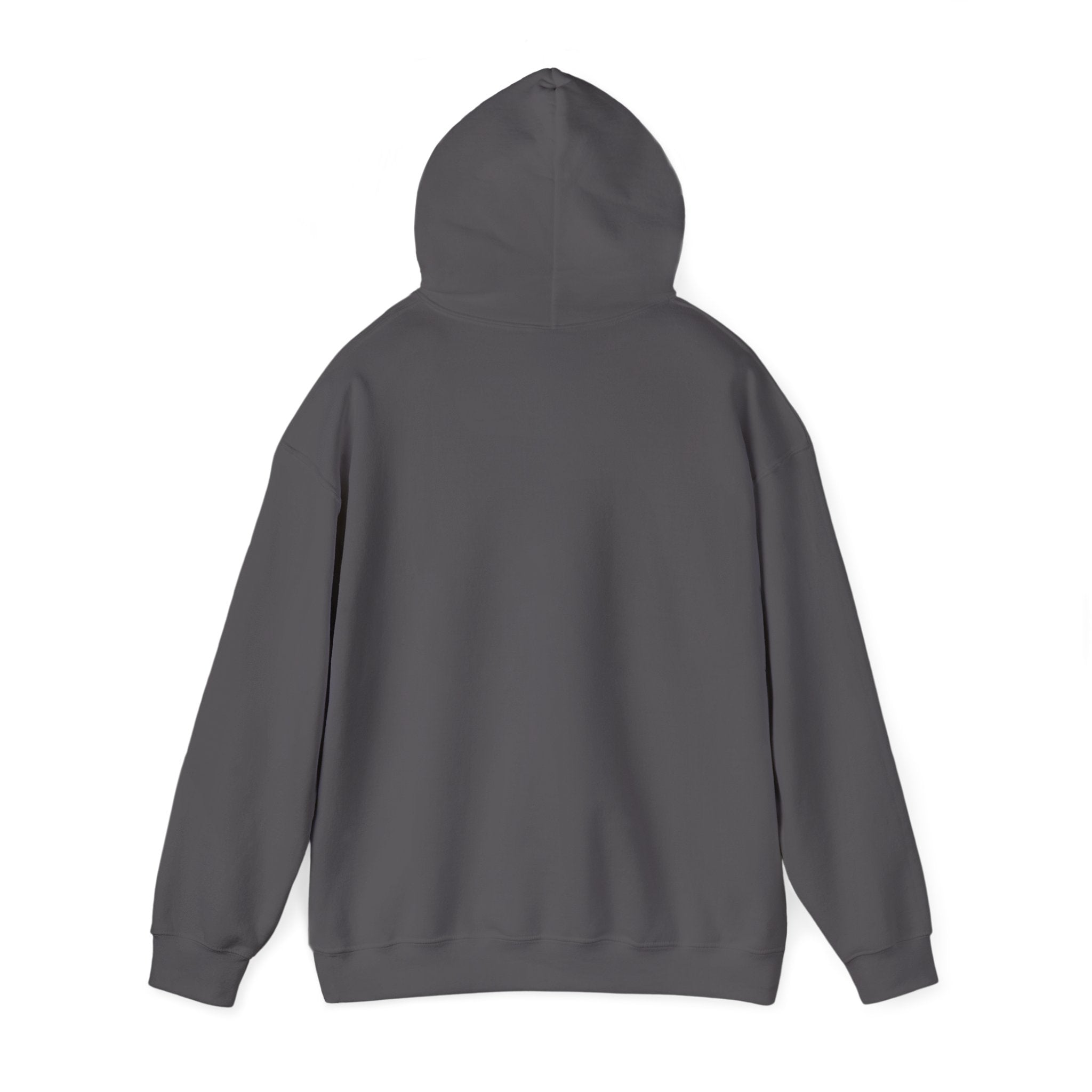 Electric Vista Motivation Hoodie