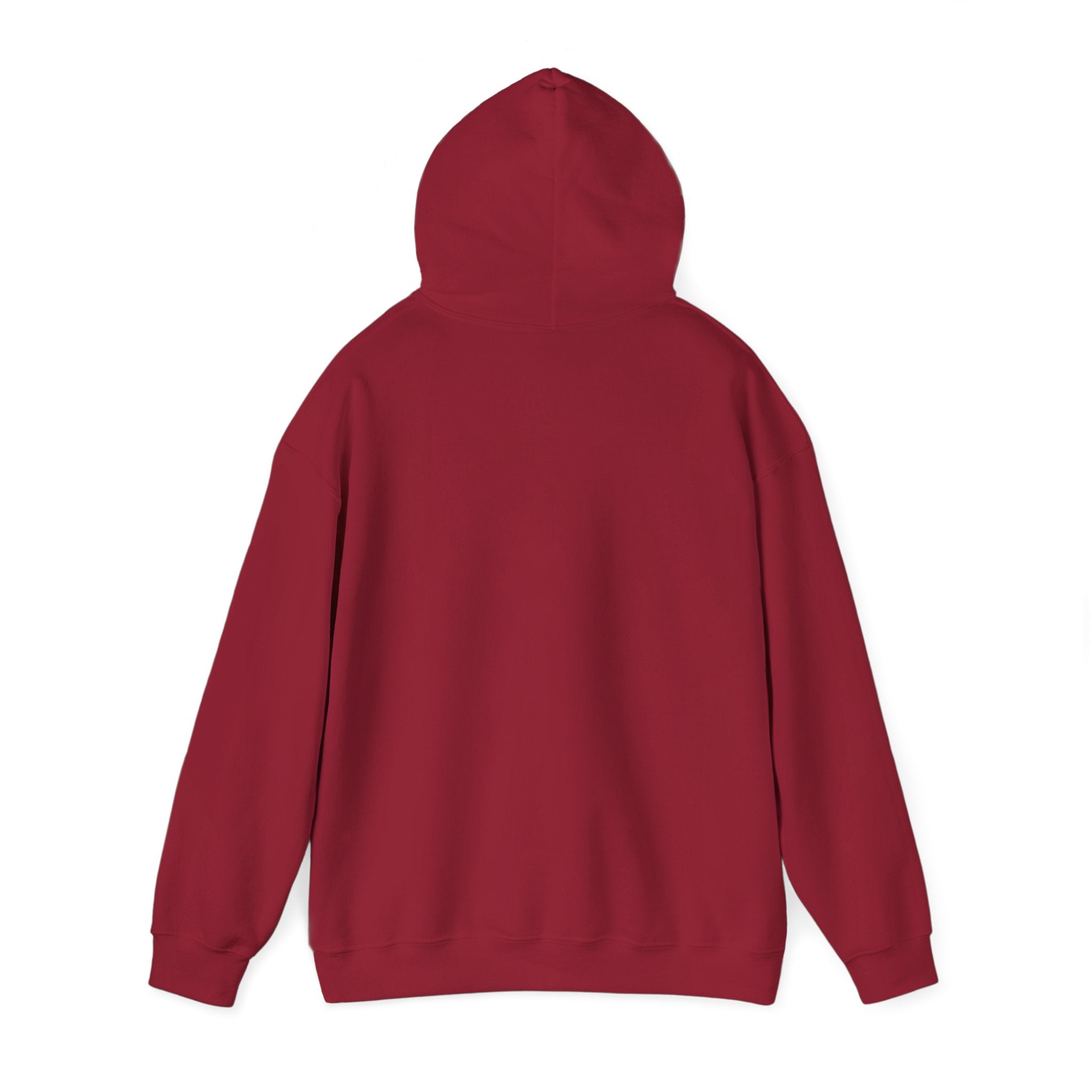 Electric Vista Motivation Hoodie