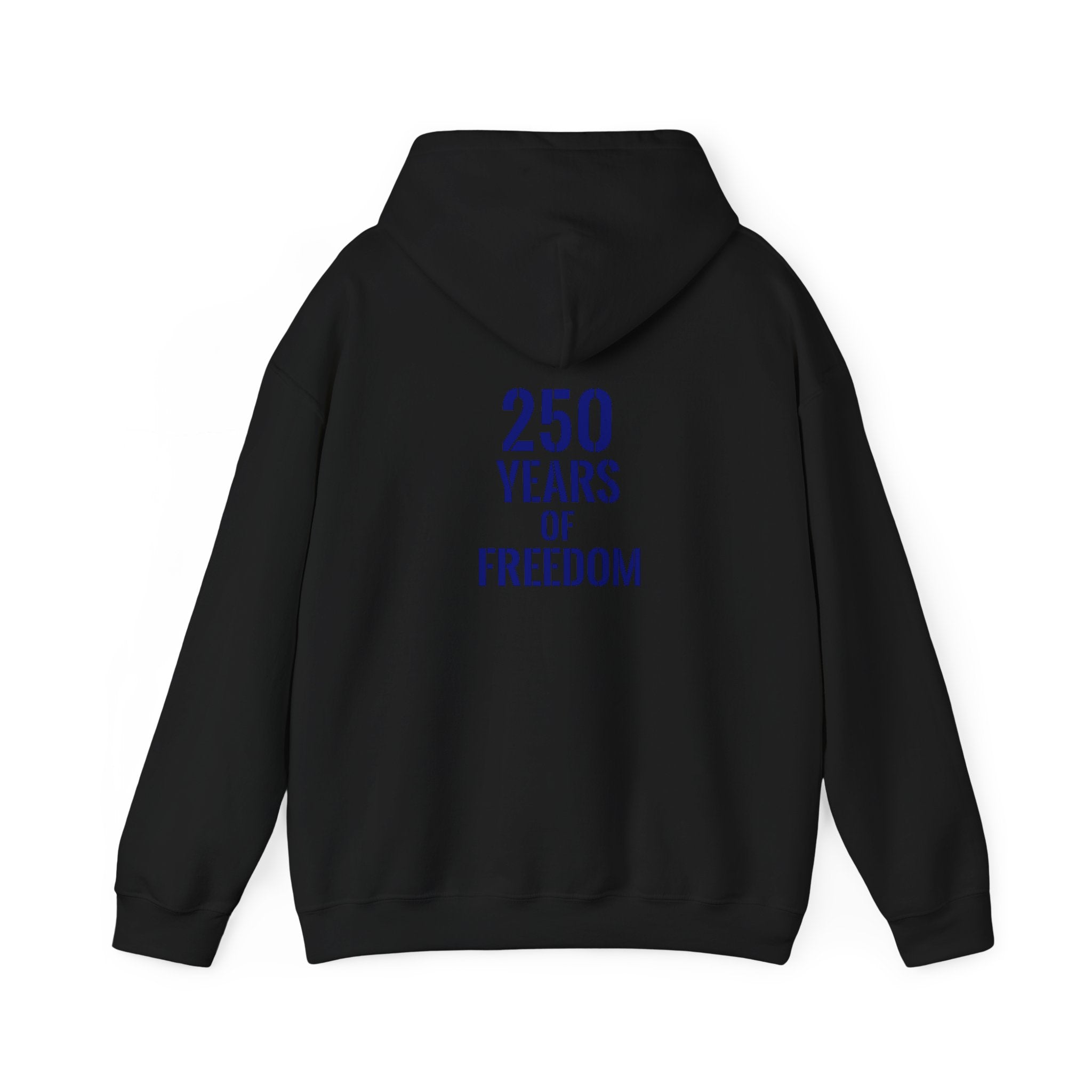 USA American 250 years of freedom hoodie.