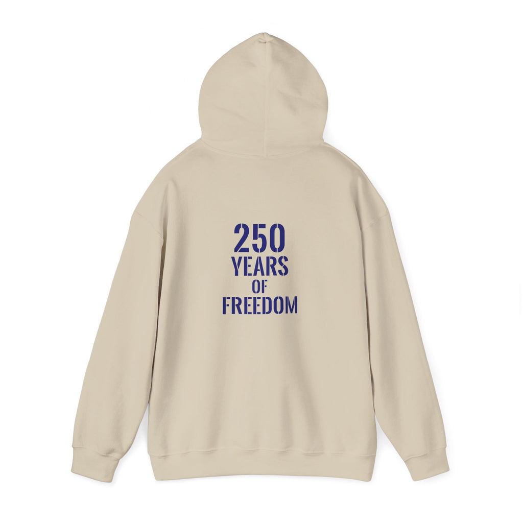 USA American 250 years of freedom hoodie.