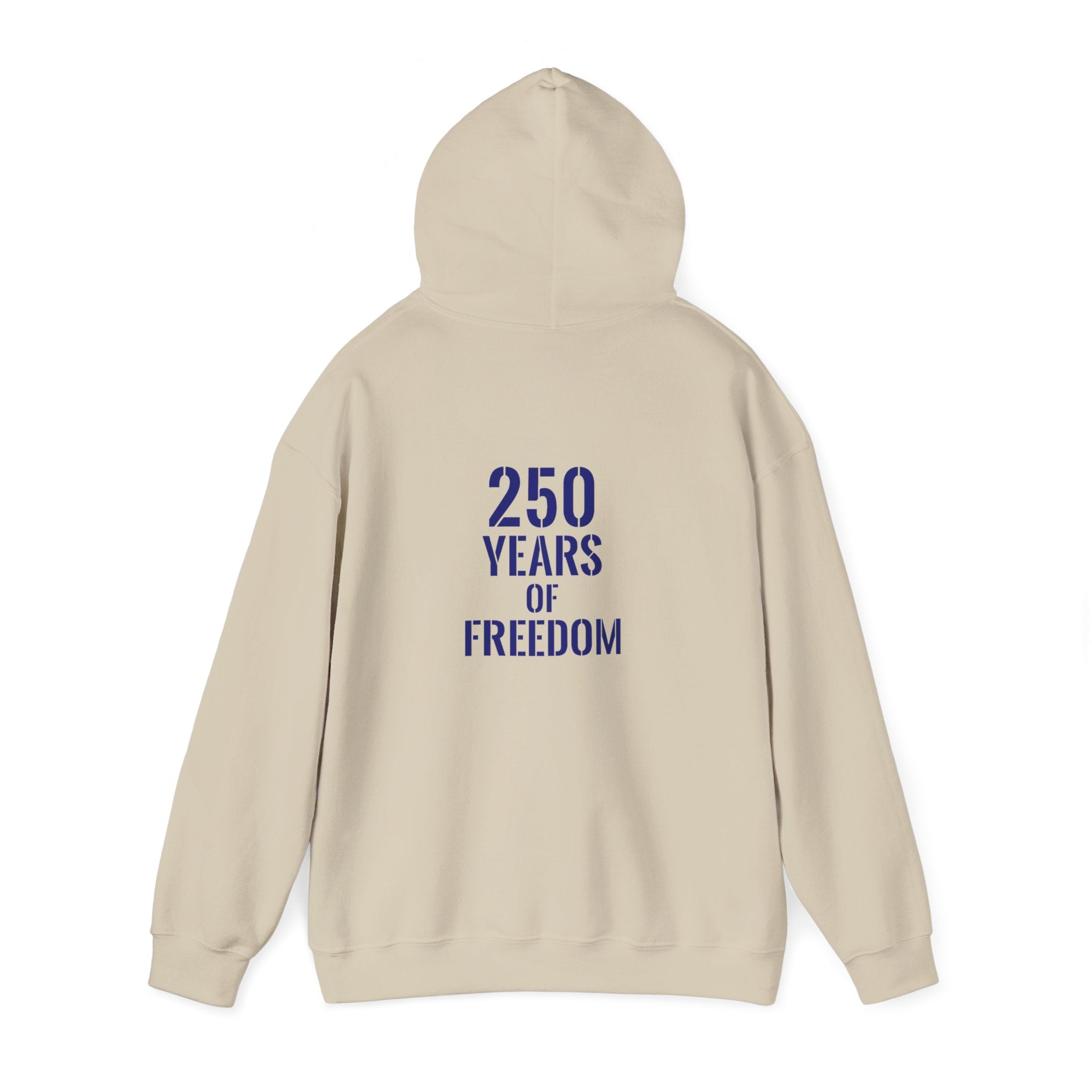 USA American 250 years of freedom hoodie.