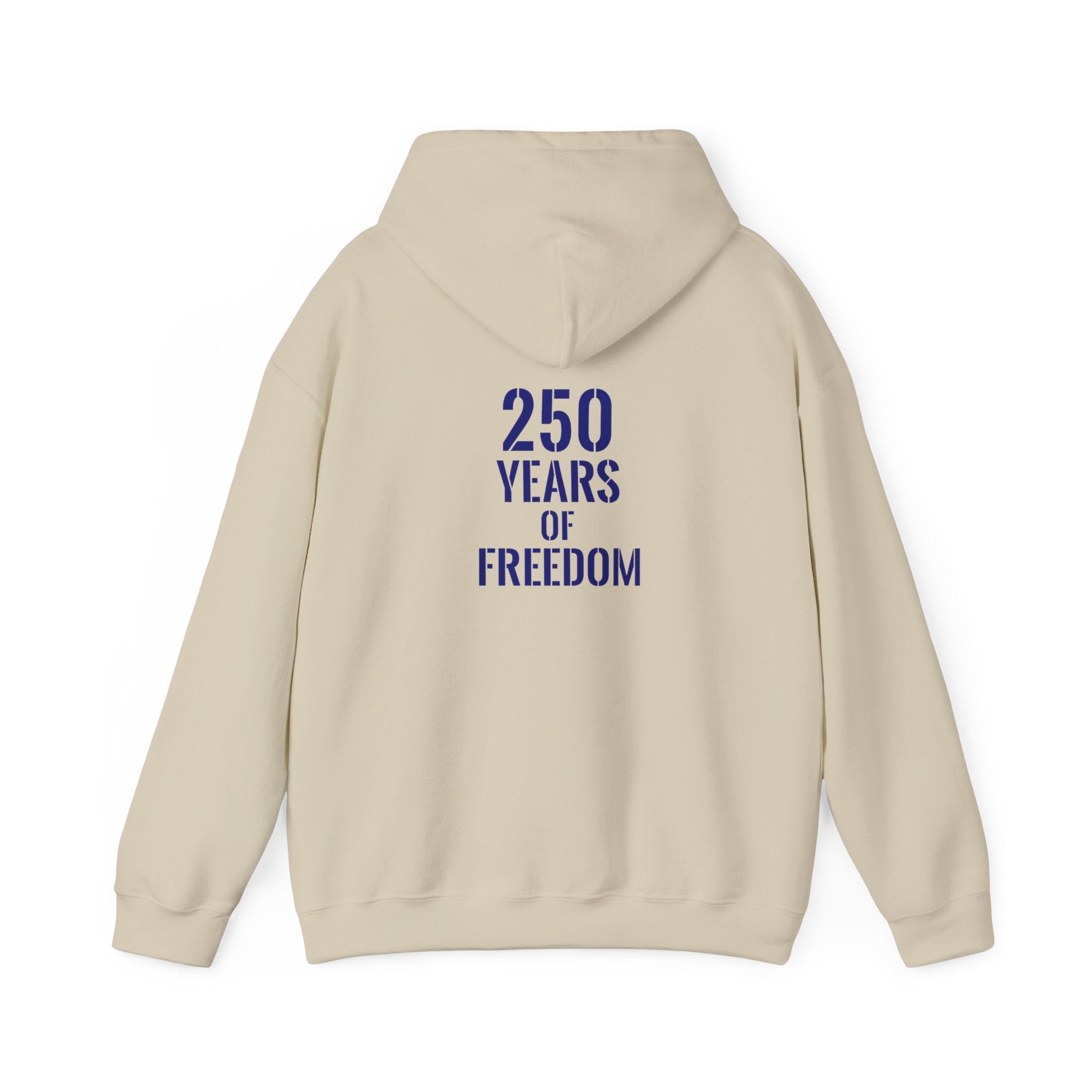 USA American 250 years of freedom hoodie.