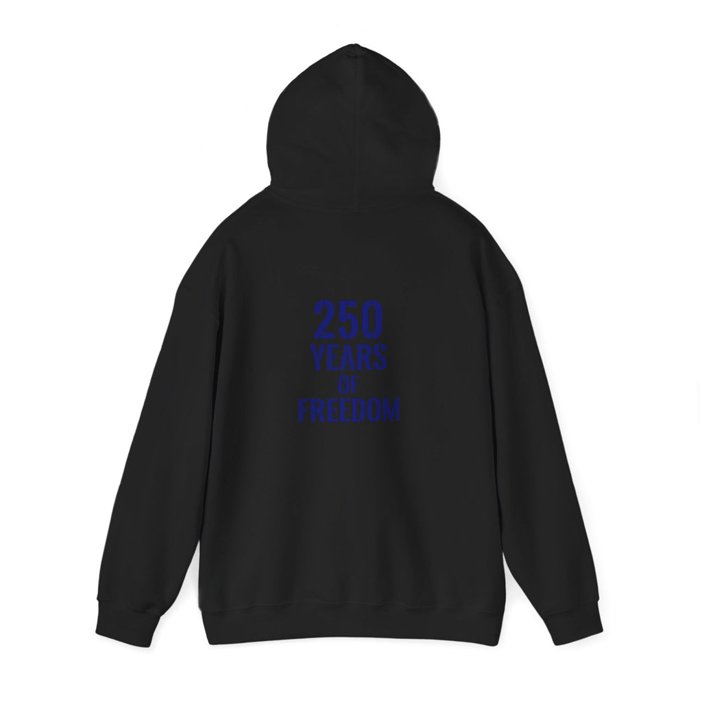 USA American 250 years of freedom hoodie.