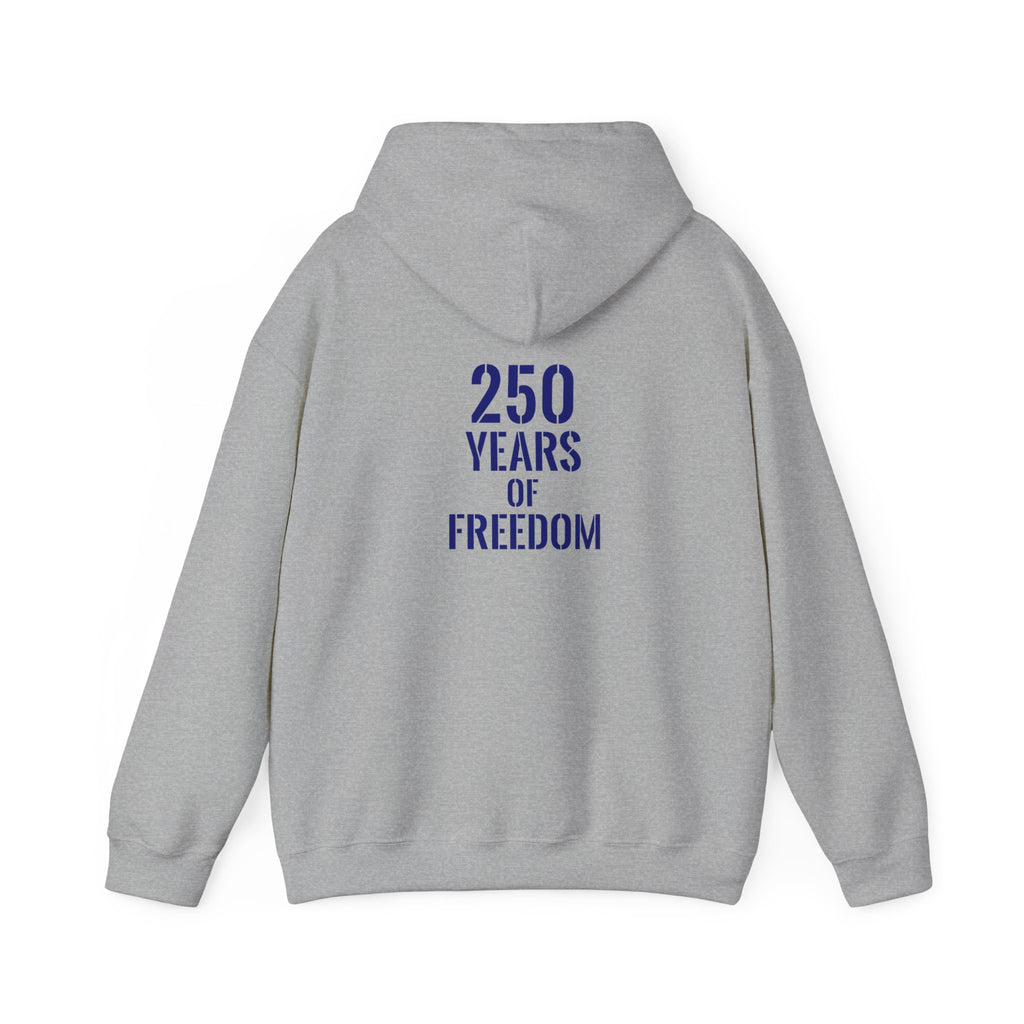 USA American 250 years of freedom hoodie.