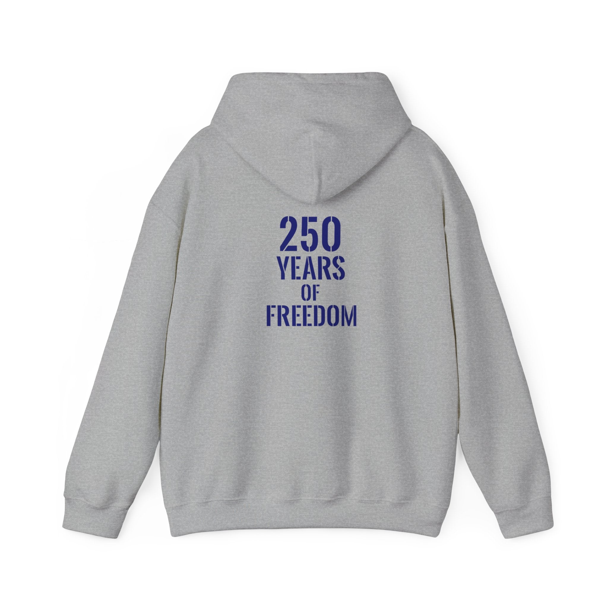 USA American 250 years of freedom hoodie.